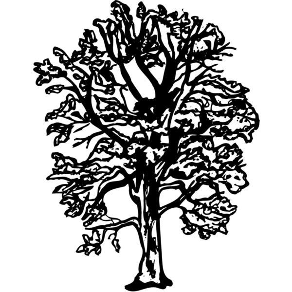 TREE0018 Thumbnail
